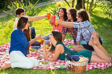 Six friends toasting on a picnic blanket.
