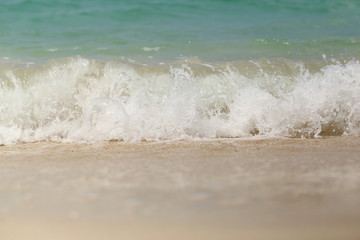 Sea wave swash on sand beach.