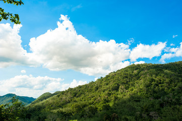 Hill Evergreen Forest,Khao Yai National Park Thailand