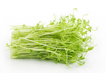 Pea Shoots on white background