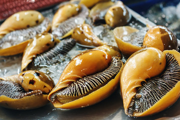 Orange Mussels at a Food Market