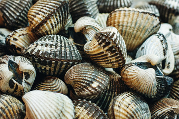 Seafood Market in Thailand