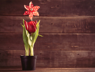 bunche of tulips and toy on the table