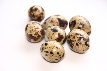 partridge eggs