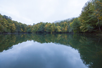 Fototapeta na wymiar autumn landscape in (seven lakes) Yedigoller Park Bolu, Turkey