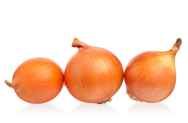 Bright yellow onions