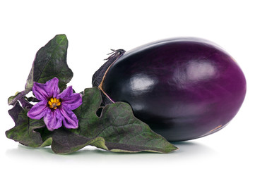Fresh raw aubergine