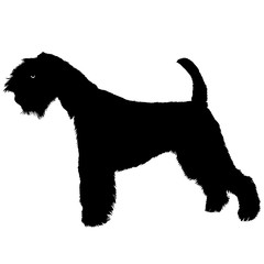 Terrier dog black silhouette 