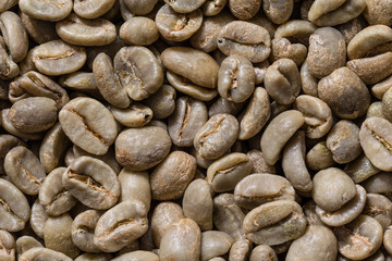 Natural coffee beans unroasted and unground