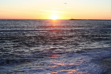 Черноморский берег