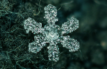 snowflake extreme macro