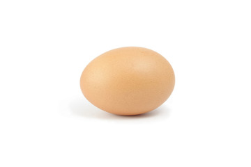 egg on white background