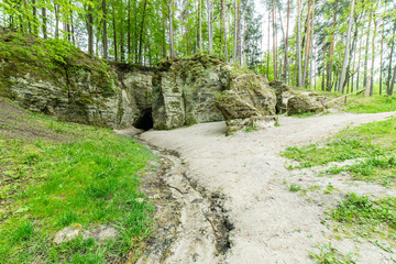 sandstone cliffs in Gauja national park