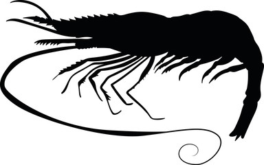 Shrimp vector silhouette