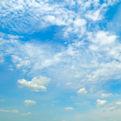 Naklejka na ściany i meble blue sky and white cumulus clouds