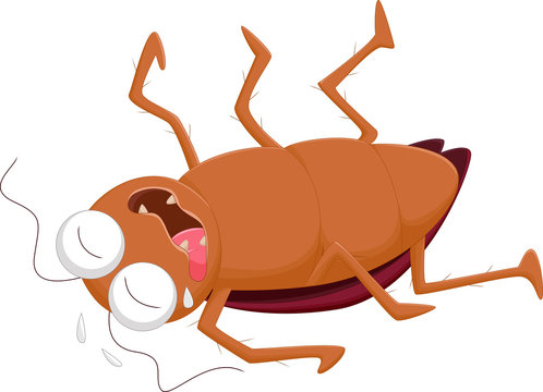 Dead Bug Cartoon Images – Browse 1,115 Stock Photos, Vectors, and Video |  Adobe Stock