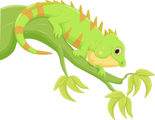 Obraz premium iguana cartoon