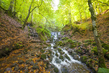 autumn landscape in (seven lakes) Yedigoller Park Bolu, Turkey