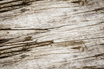 Wood texture form