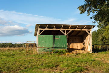 Alter Stall auf Pferdekoppel