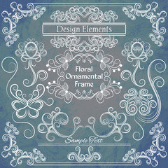Vector floral design elements on shabby background