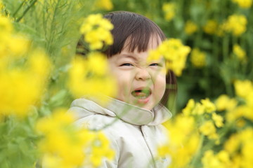 赤ちゃん(1歳児)と菜の花畑