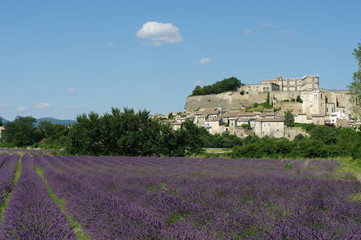 Naklejka na ściany i meble F, Provence, Drôme, Blick auf Grignan, Lavendelfeld