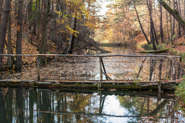 Drewniany most nad rozlewiskiem w lesie jesienią