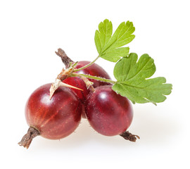 Red gooseberries isolated on white background