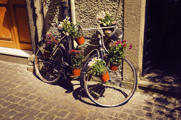  Old bicycle equipped with flowers