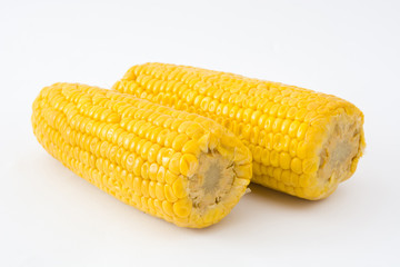 Corn isolated
