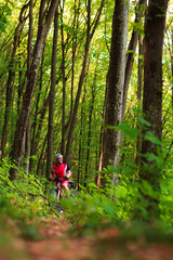 Rider on Mountain Bicycle it the forest
