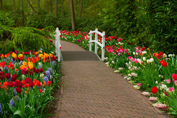 Stone walk way  in garden