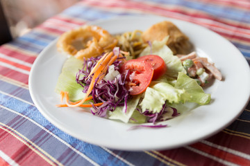 vegetable salad mix with appetizer on dish