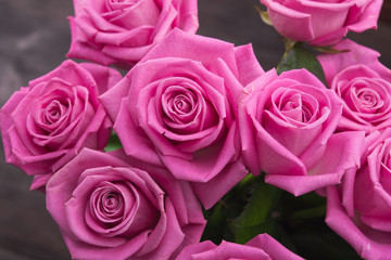 pink roses