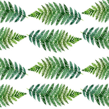 Watercolor fern pattern 3