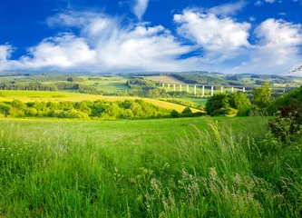 Fototapeten Summer landscape with green grass and clouds. © Swetlana Wall