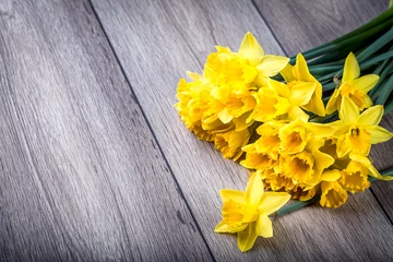 Crédence de cuisine en verre imprimé Narcisse Bouquet de jonquilles jaunes à la fleur