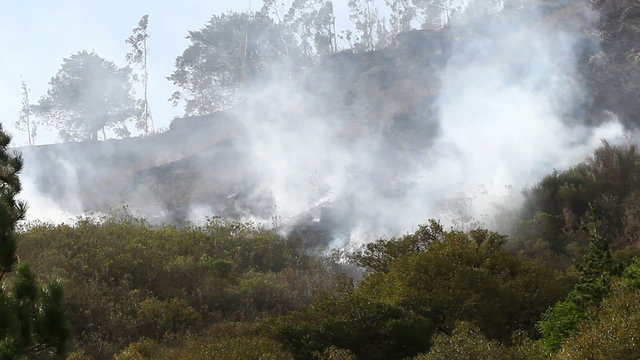 Capture stunning footage of a small bush fire in the breathtaking Andean highlands with our fixed camera