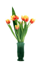 Tulips In Vase