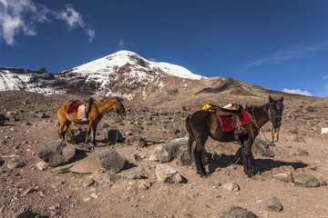 Chimborazo volcano