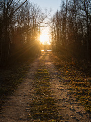 Obraz premium empty road in the countryside in autumn