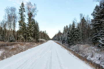 Obraz premium empty road in the countryside in winter