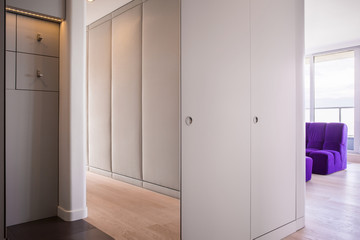 Spacious modern hall