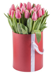 Pink tulips in a round hat box, isolated on white background