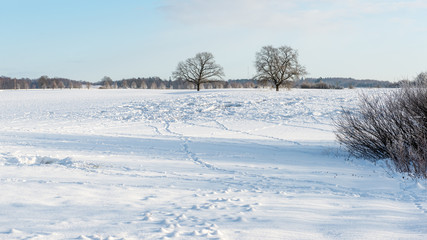 empty road in the countryside in winter