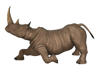 Obraz premium 3D Illustration Rhinoceros on White
