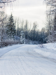 empty road in the countryside in winter