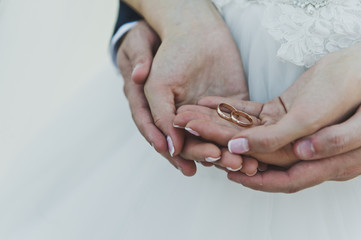 Hands in the hands holding wedding rings 5732.