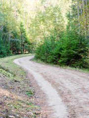 Fototapeta premium empty road in the countryside in autumn